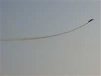 IMG_2083.jpg