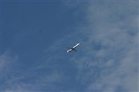IMG_8992.jpg