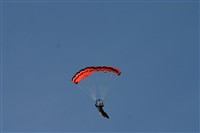 IMG_9009.jpg