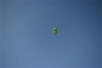 IMG_9287.jpg